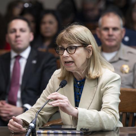 UCLA Law Professor and PL-290 Expert Carole Goldberg