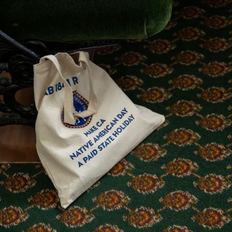 Select Committee on Native American Affairs MMIP Hearing