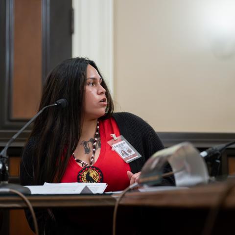 Select Committee on Native American Affairs MMIP Hearing