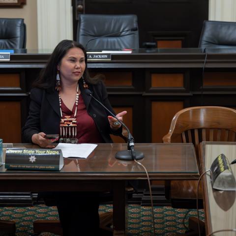 Select Committee on Native American Affairs MMIP Hearing