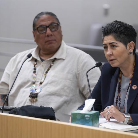 Committee hearing on Implementation and Suicide Prevention