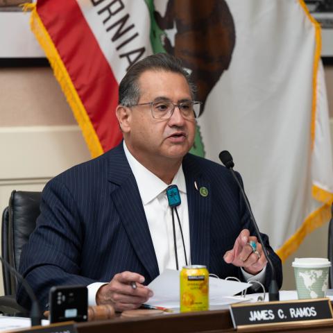 committee member