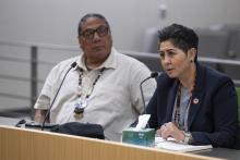 Committee hearing on Implementation and Suicide Prevention