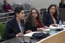 Committee hearing on Implementation and Suicide Prevention
