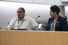 Committee hearing on Implementation and Suicide Prevention