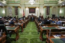 Native American Caucus Honorees & Floor Ceremony