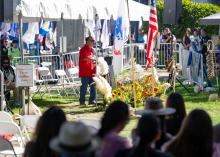 CA Native American Day